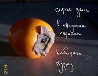 haiku