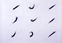 drawing for cat slide